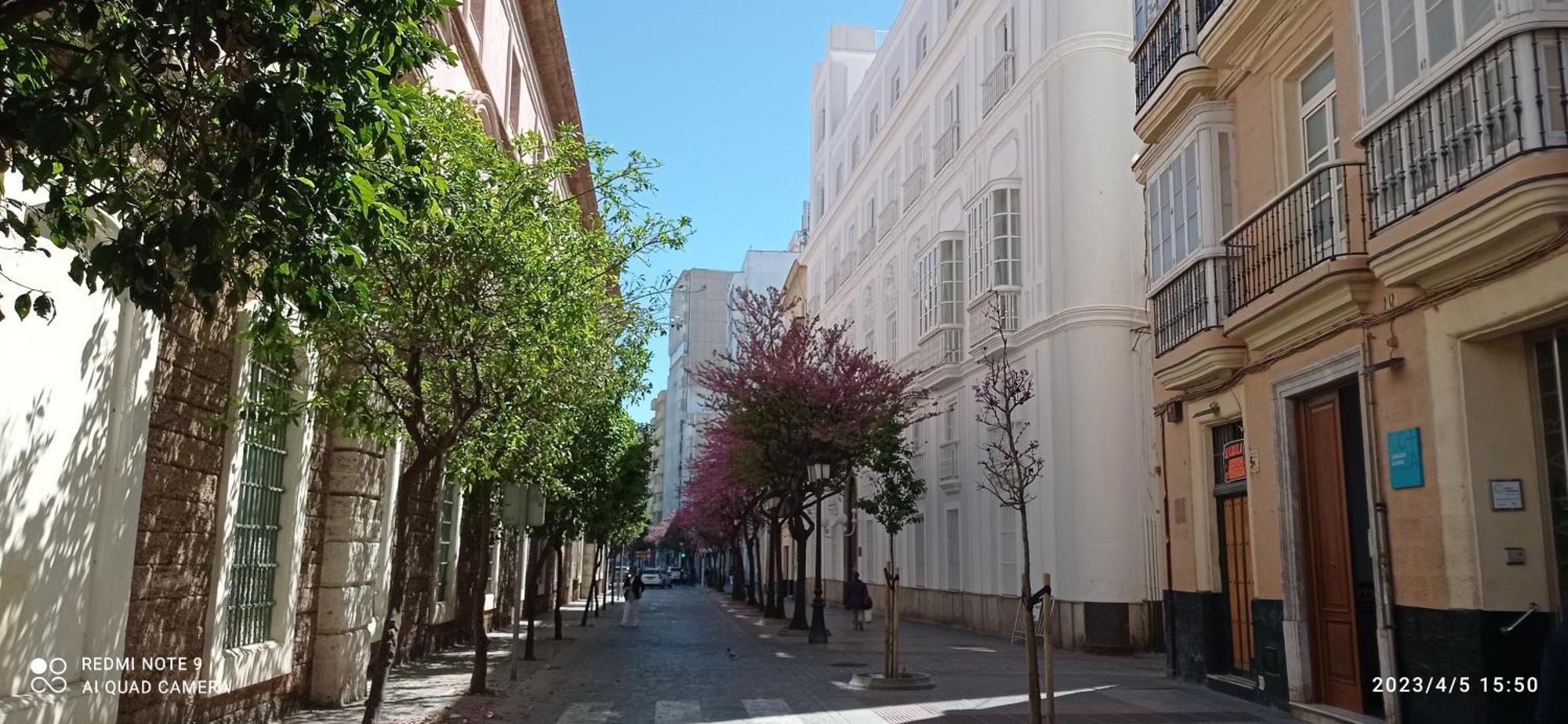Top Estudio Rosario Cadiz Playa Cádiz Exterior photo